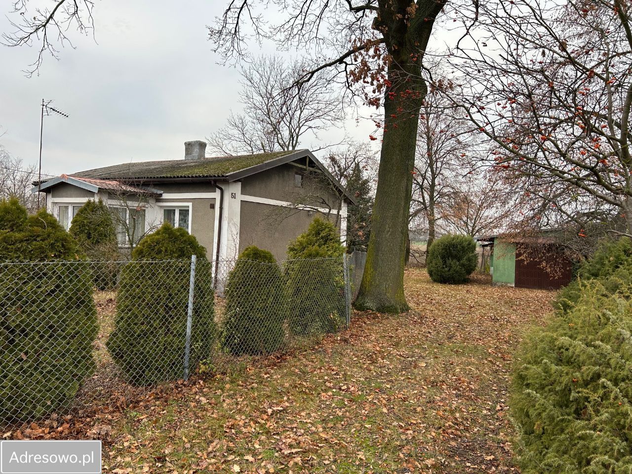 dom wolnostojący, 3 pokoje Damięty-Narwoty. Zdjęcie 3