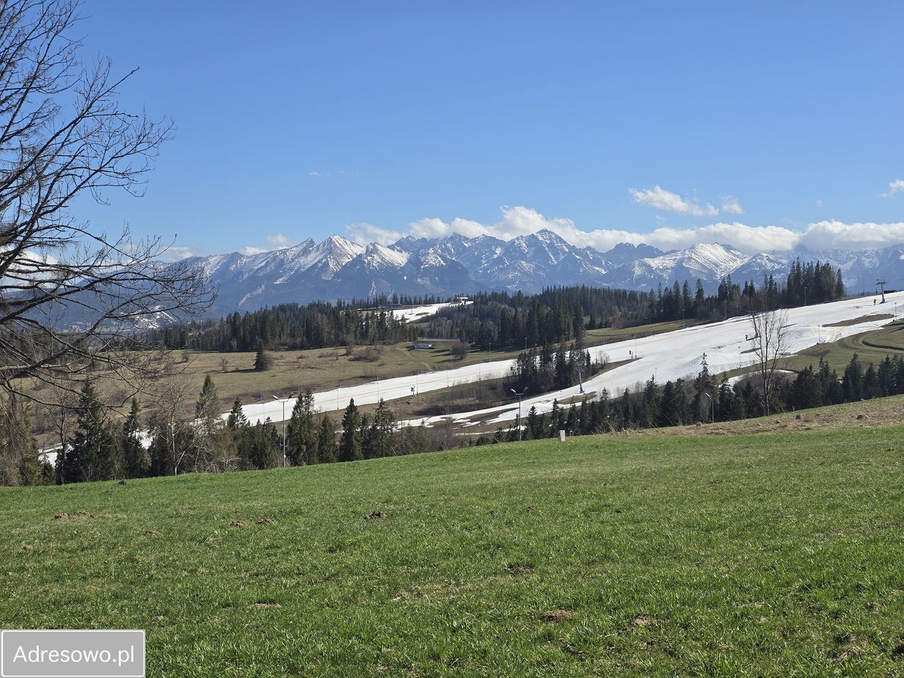 Działka budowlana Groń