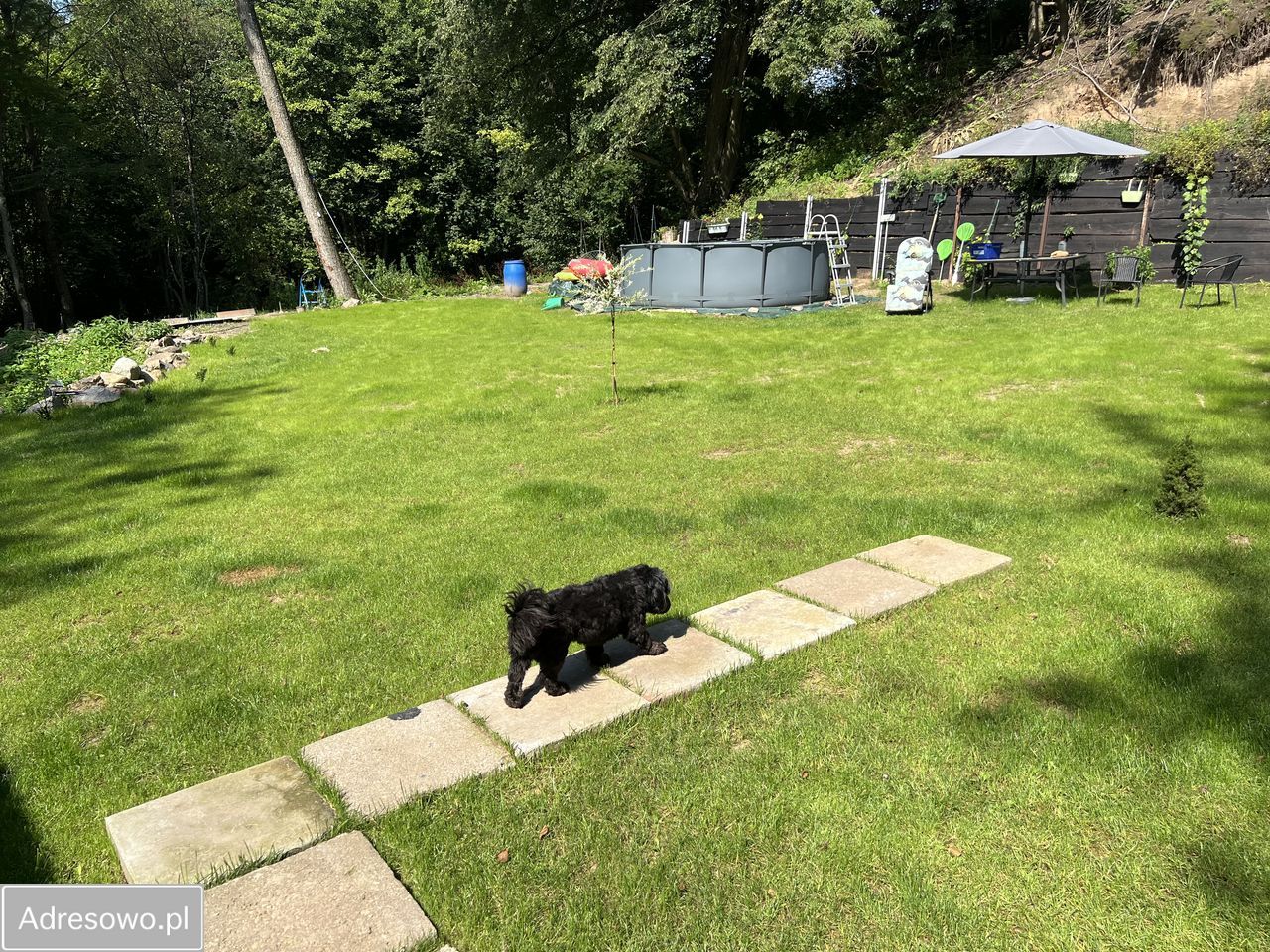 siedlisko Tuszewo. Zdjęcie 4