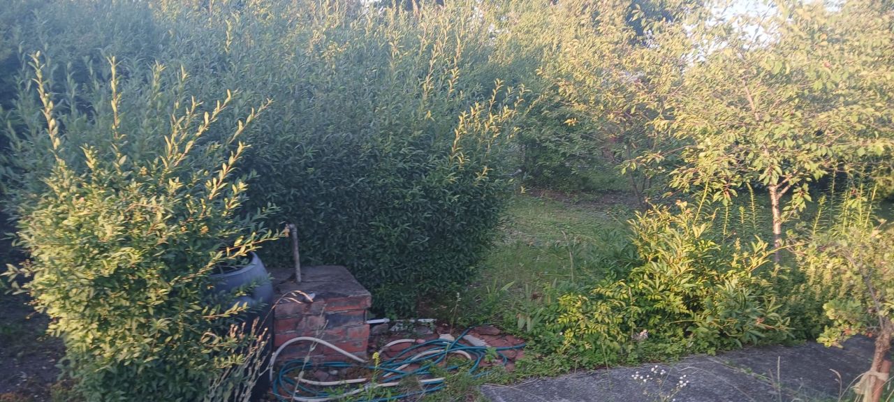 Działka rod Inowrocław, Szosa Bydgoska. Zdjęcie 12