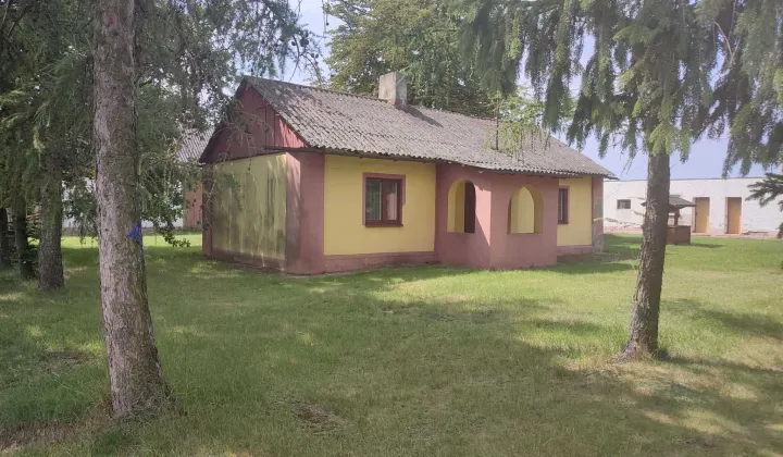 siedlisko Mazew-Kolonia