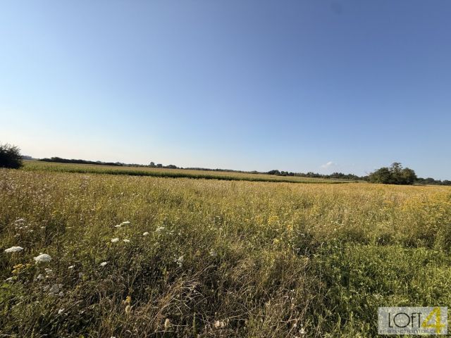 Działka rolna Mędrzechów. Zdjęcie 2