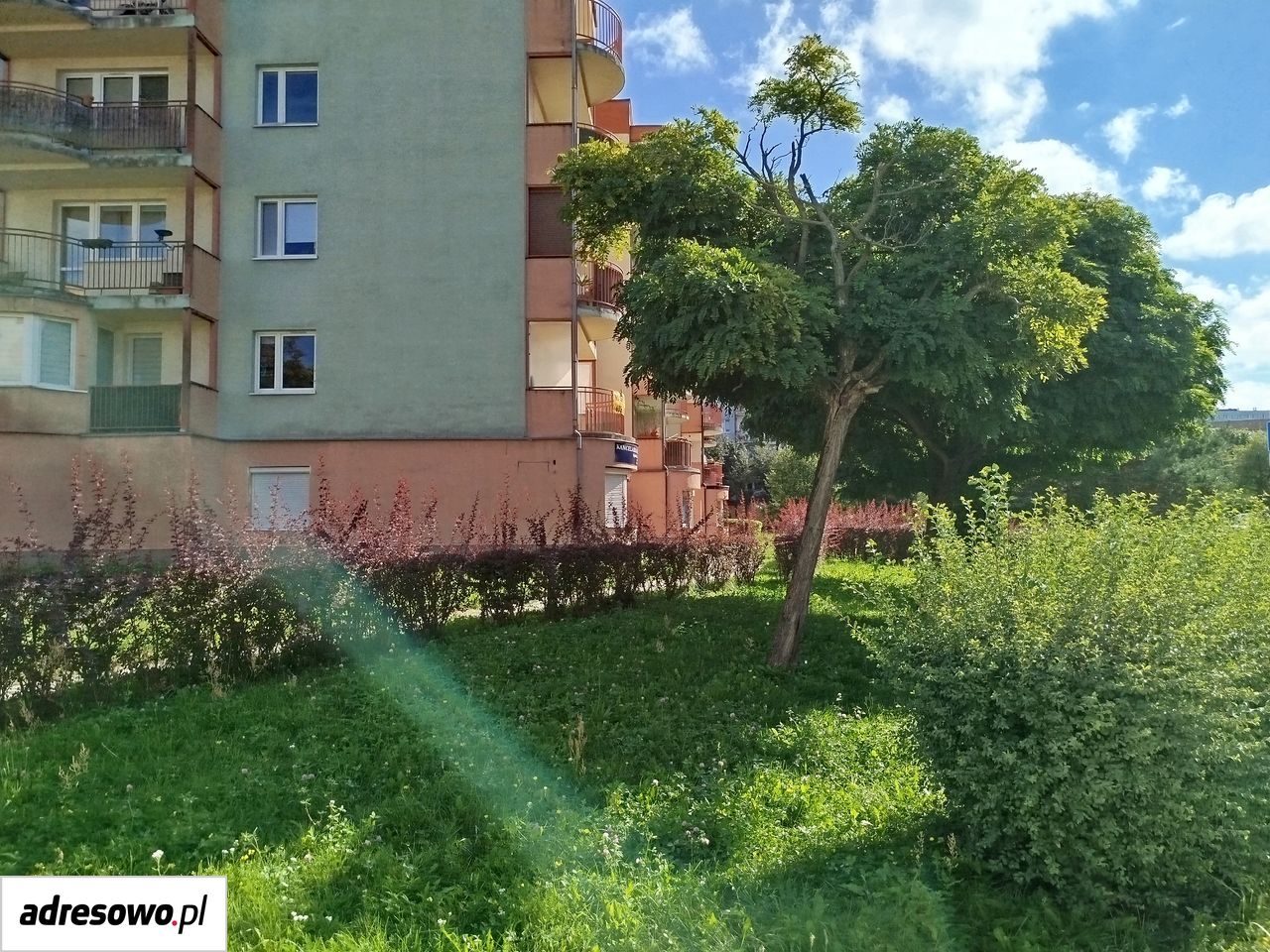 Mieszkanie 2-pokojowe Łódź Widzew, ul. Aleksandra Tansmana. Zdjęcie 16