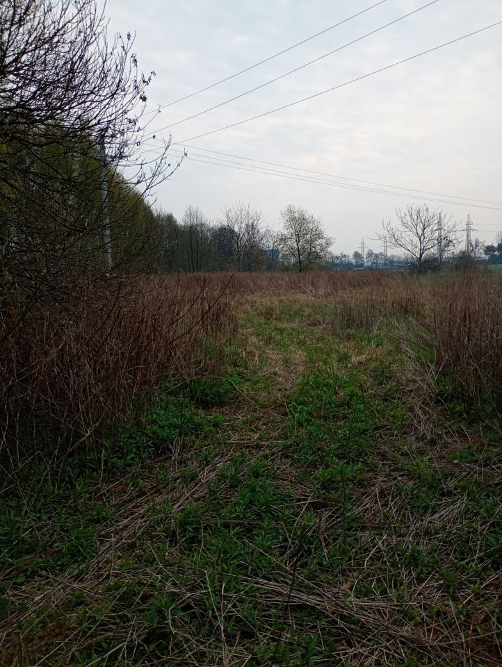 Działka inwestycyjna Żory Baranowice, ul. Familijna. Zdjęcie 6