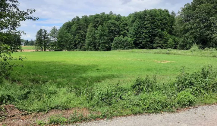 Działka Urzędów, ul. Dębniak