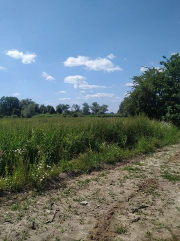 Działka rolna Jawiszowice. Zdjęcie 1