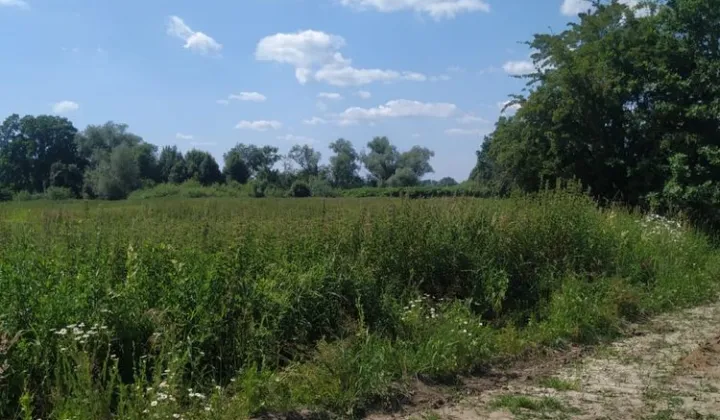 Działka rolna Jawiszowice