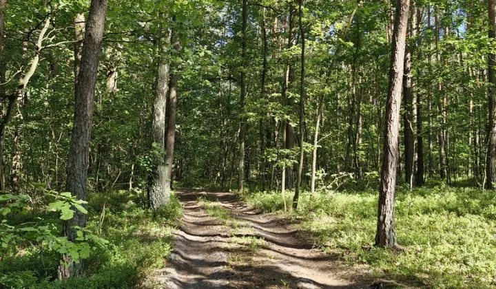 Działka rekreacyjna Wilkowyja