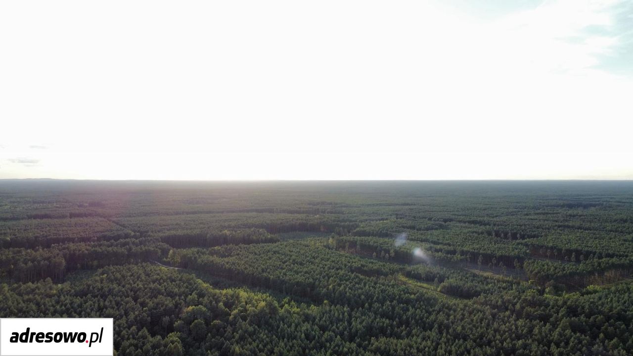 gospodarstwo Piaseczna. Zdjęcie 18
