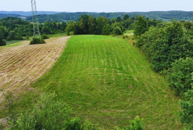 Działka rolna Jankowce. Zdjęcie 7