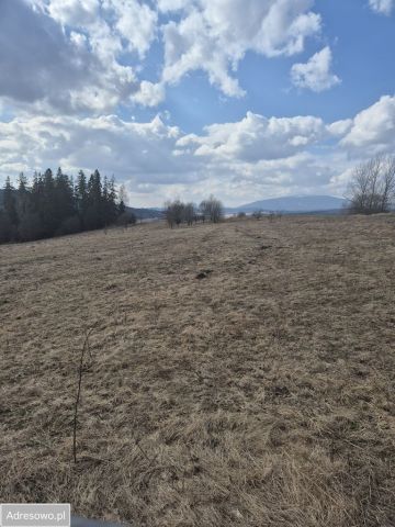 Działka rolna Podsarnie. Zdjęcie 1