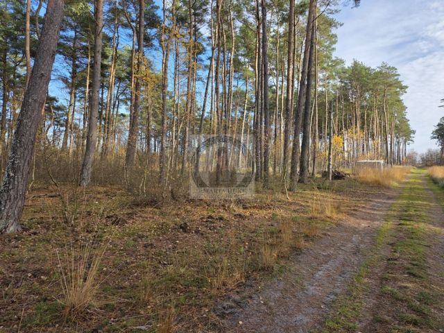 Działka budowlana Dziwnów. Zdjęcie 5