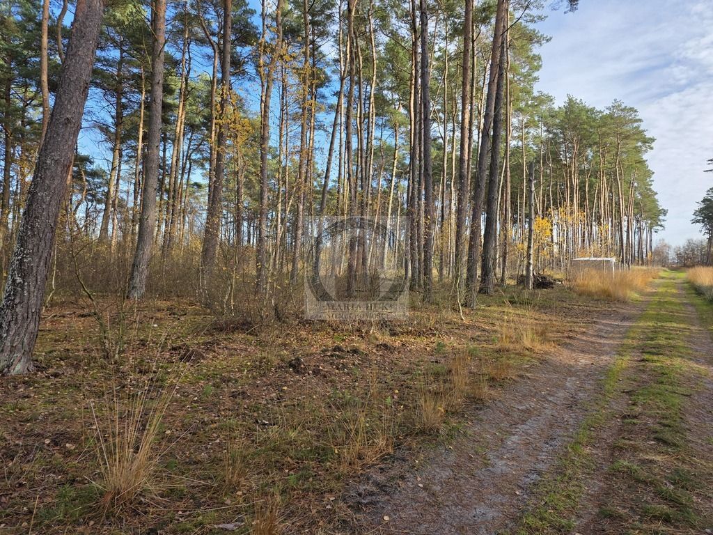 Działka budowlana Dziwnów. Zdjęcie 5