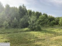 Działka budowlana Dziektarzew. Zdjęcie 1