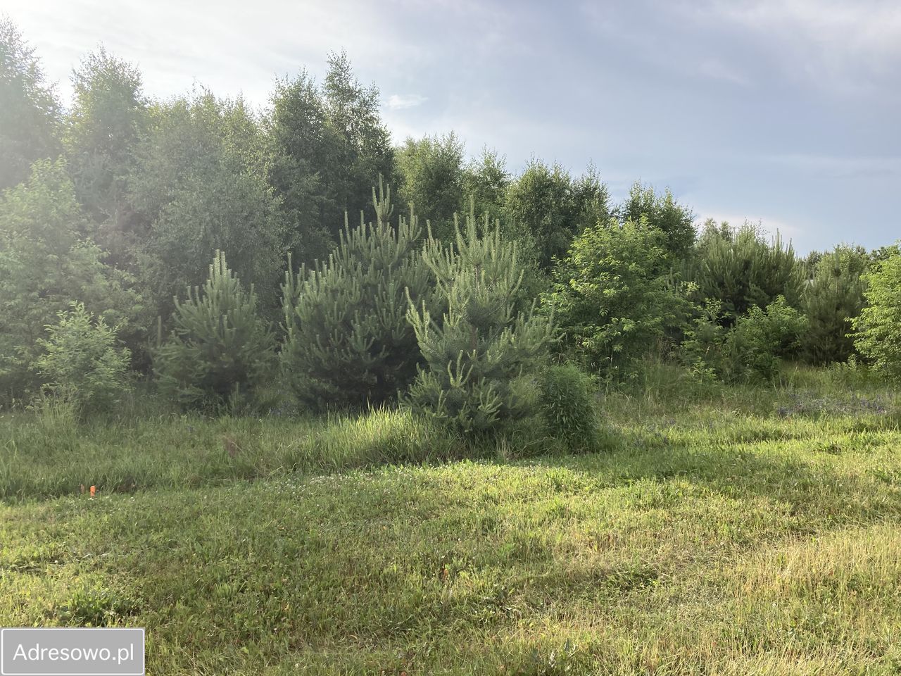Działka budowlana Dziektarzew. Zdjęcie 2