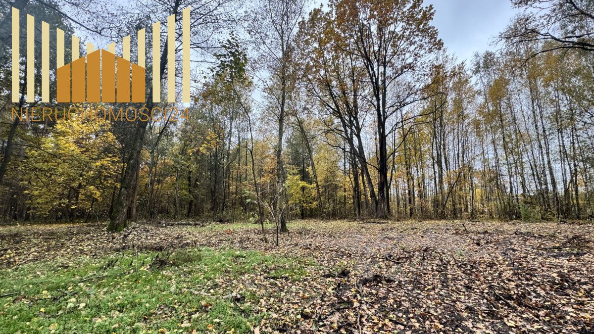 Działka budowlana Iłówiec. Zdjęcie 4