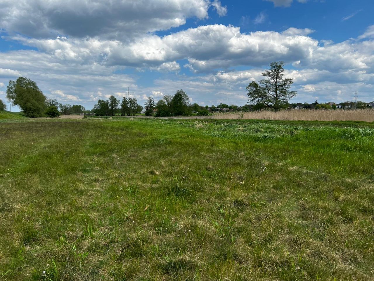 Działka rolna Kołczyn, Kołczyn. Zdjęcie 3