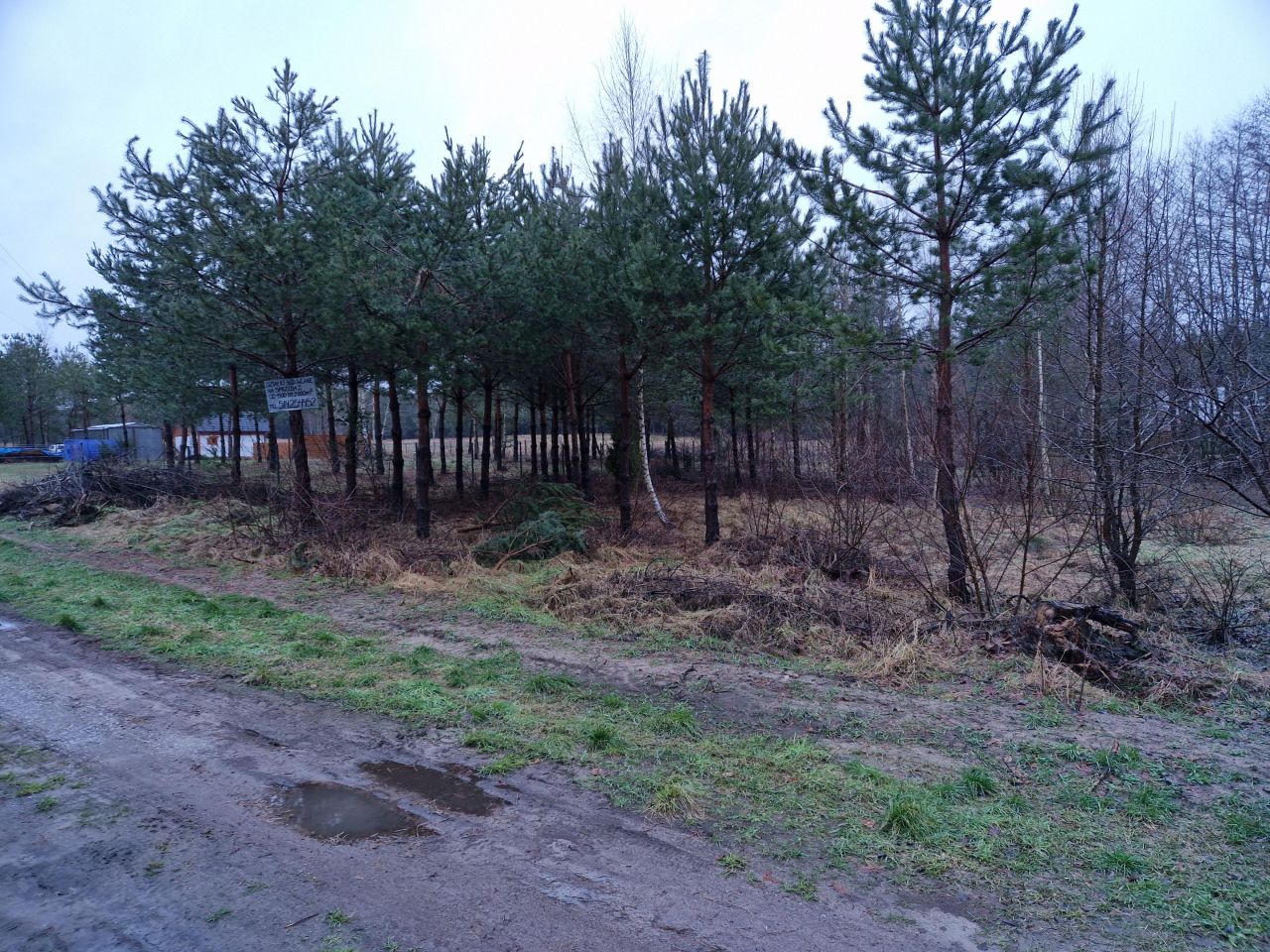 Działka budowlana Bartoszylas. Zdjęcie 14