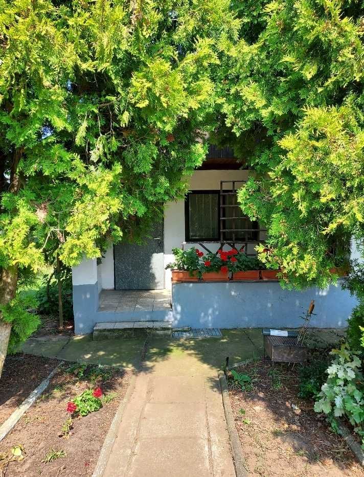 Działka rod Strzelce Opolskie. Zdjęcie 7