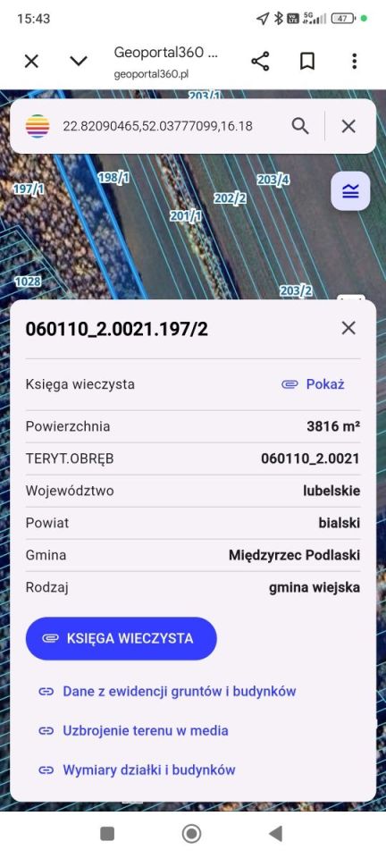 Działka leśna Rogoźnica. Zdjęcie 4