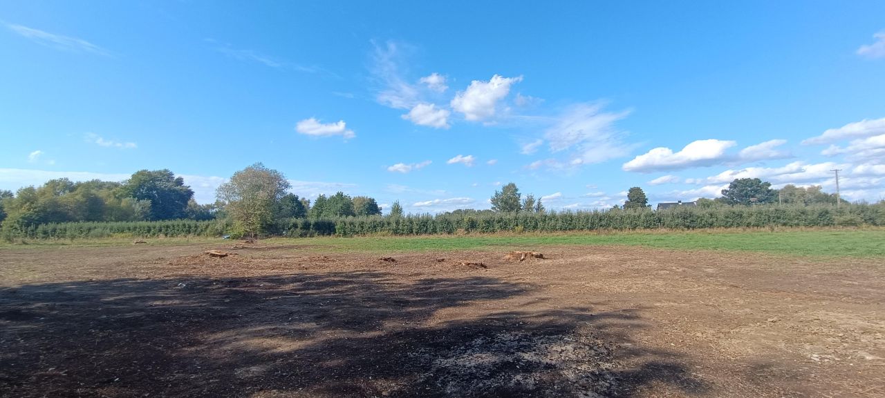 Działka rolno-budowlana Przewóz Tarnowski. Zdjęcie 3