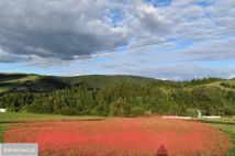 Działka budowlana Kąty. Zdjęcie 3