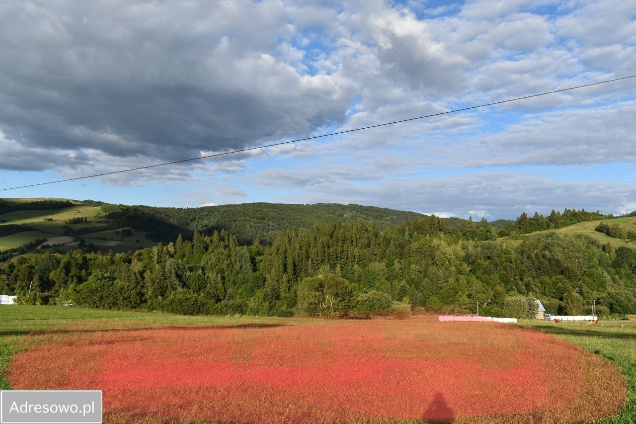 Działka budowlana Kąty. Zdjęcie 4