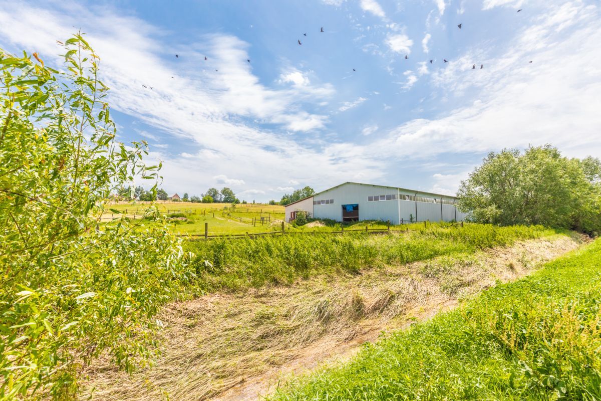 Lokal Siedliska Pierwsze. Zdjęcie 15