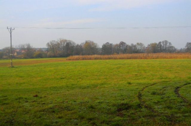 Działka inwestycyjna Grójec Mały. Zdjęcie 2