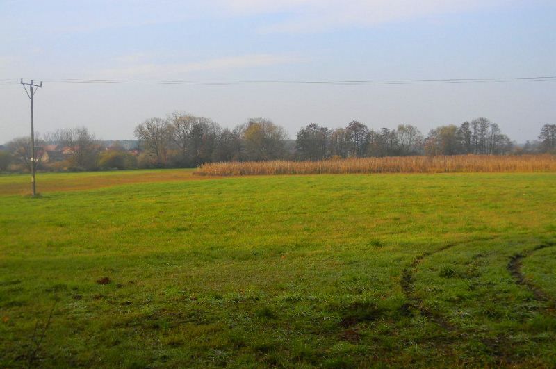 Działka inwestycyjna Grójec Mały. Zdjęcie 2