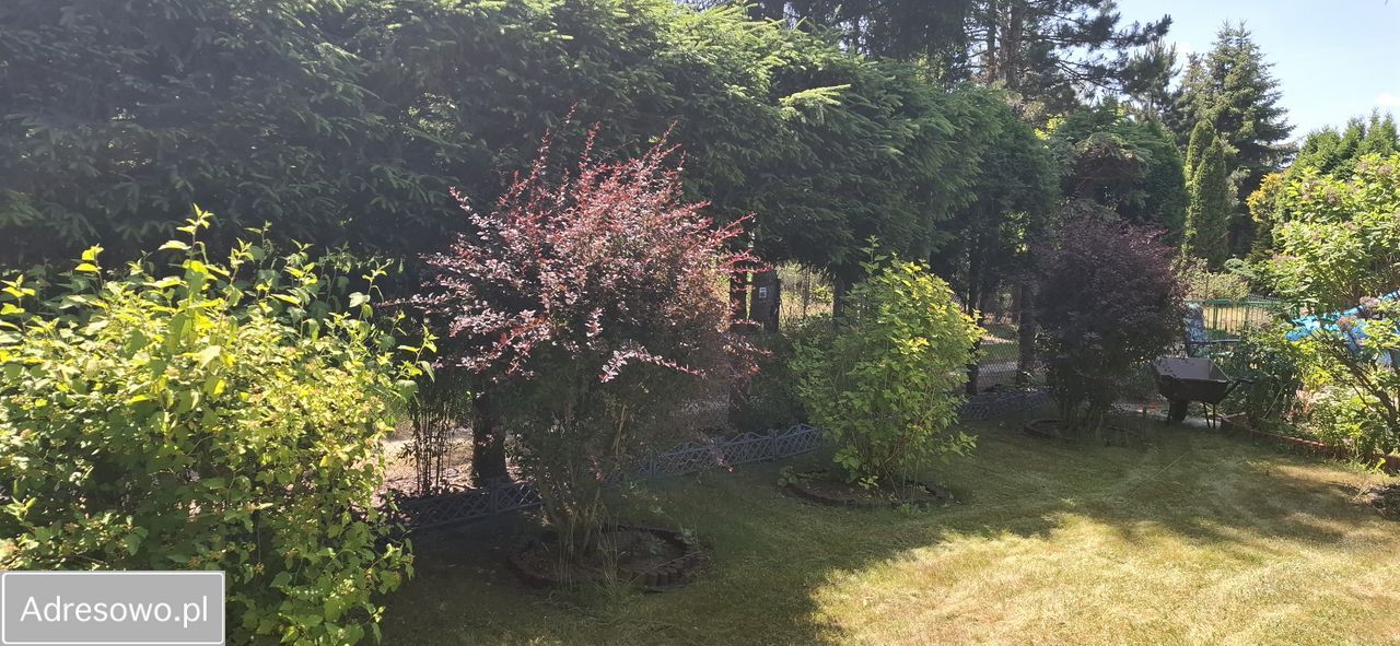 Działka rod Krępa. Zdjęcie 7