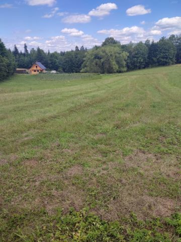 Działka budowlana Werlas. Zdjęcie 1