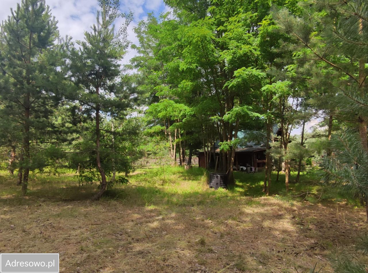 Działka rekreacyjna Wądzyn. Zdjęcie 18