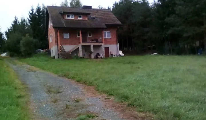 dom wolnostojący Stary Wielisław