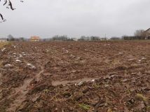 Działka budowlana Korzeń Królewski. Zdjęcie 3