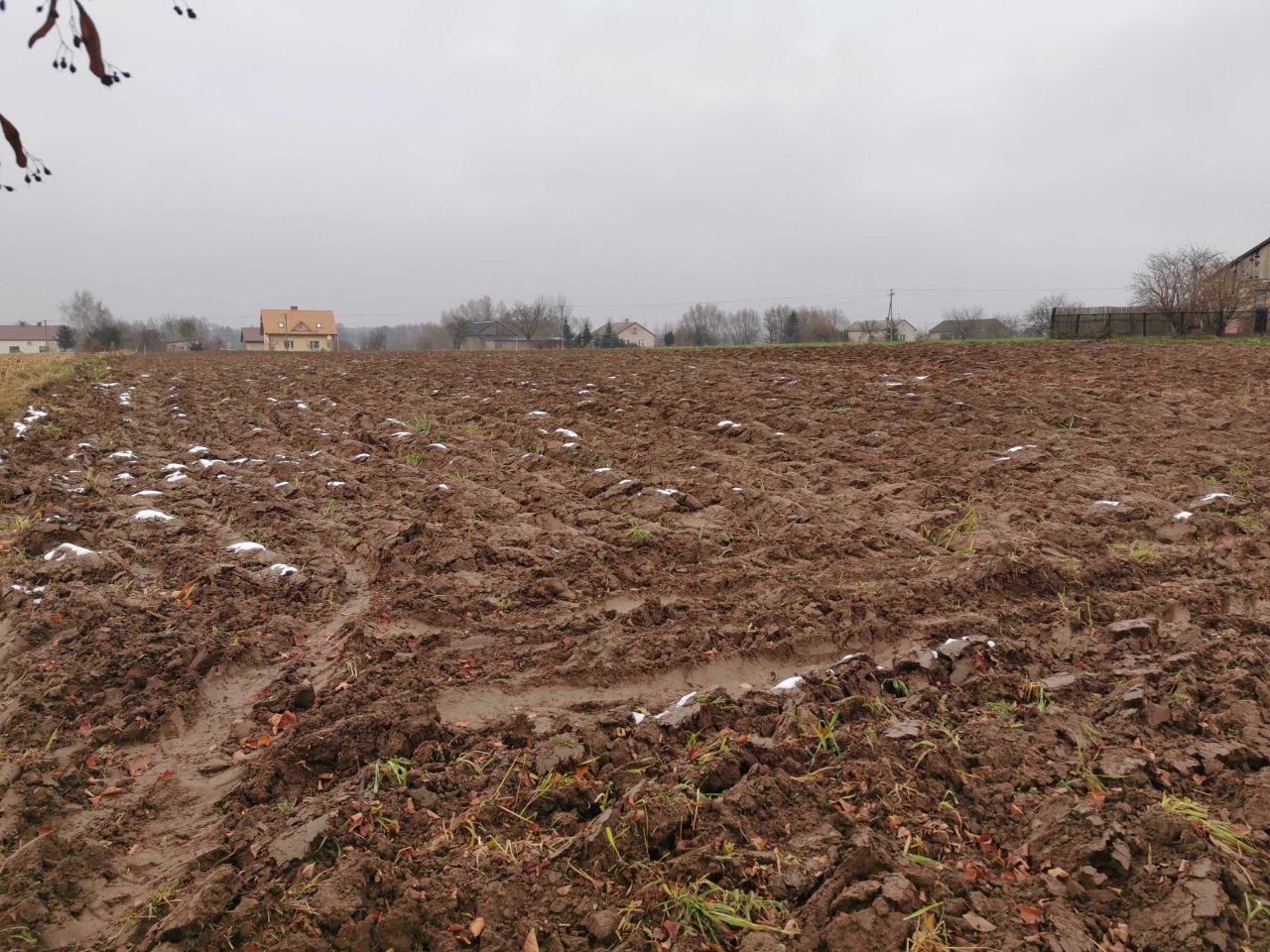 Działka budowlana Korzeń Królewski. Zdjęcie 4