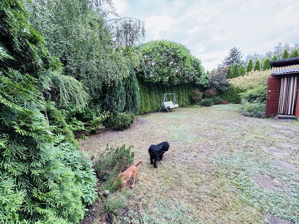 Działka rod Kajetany. Zdjęcie 6