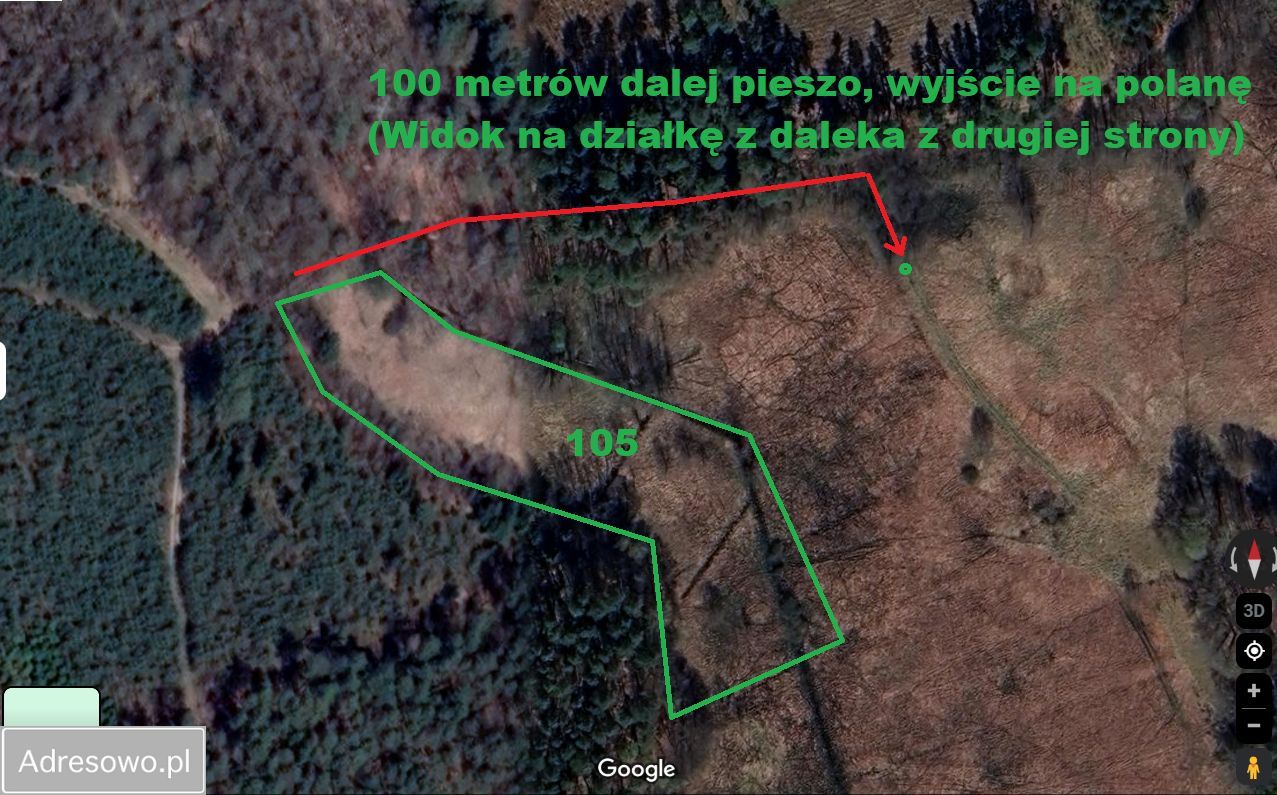 Działka rolna Smorawina. Zdjęcie 14