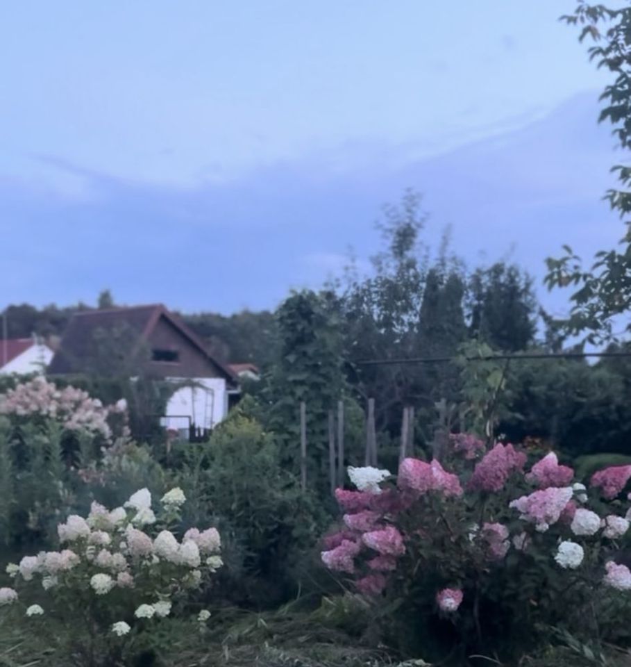 Działka rod Kozienice. Zdjęcie 2