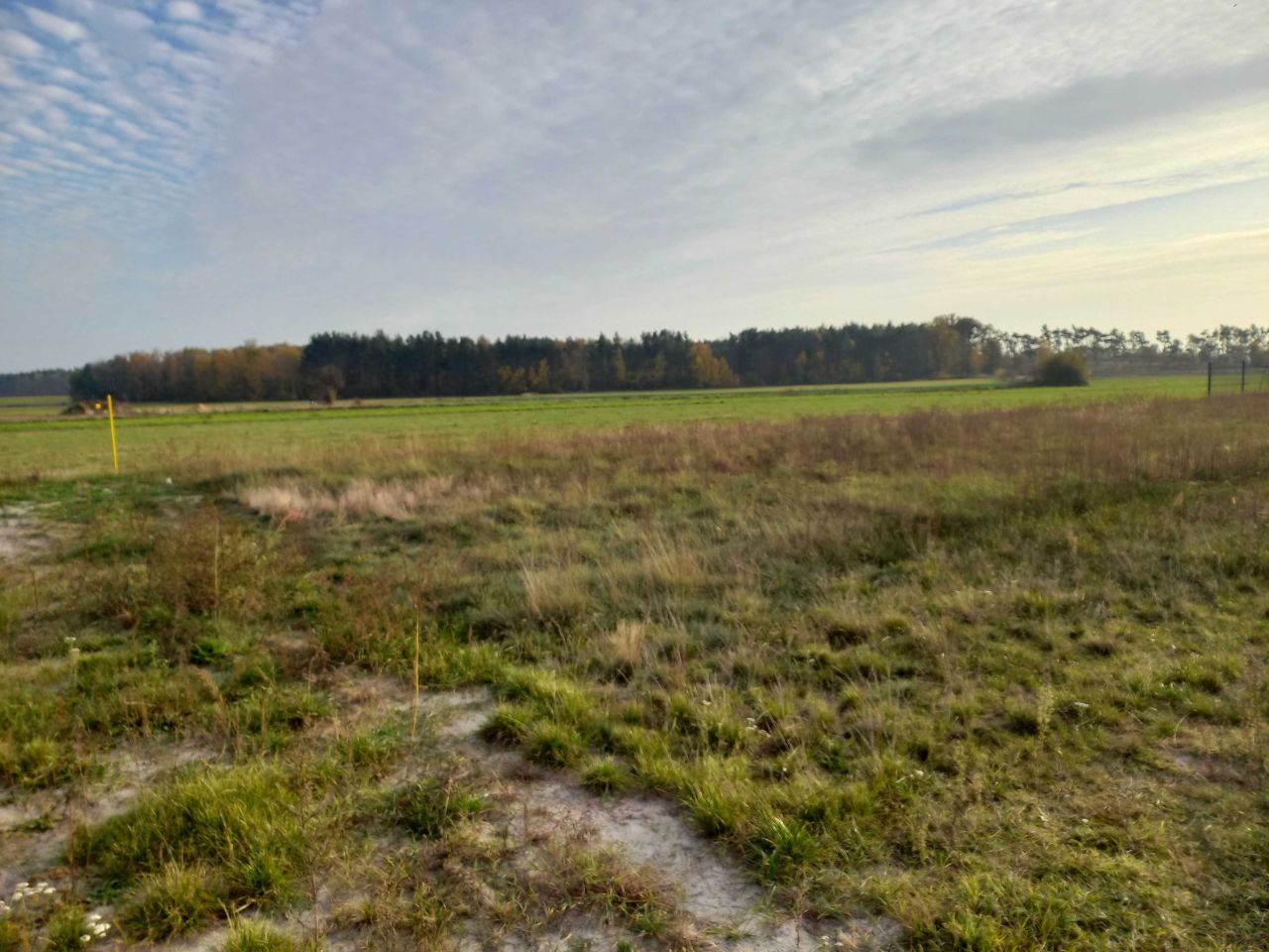 Działka budowlana Gorzyce Wielkie, ul. Szafirowa. Zdjęcie 5