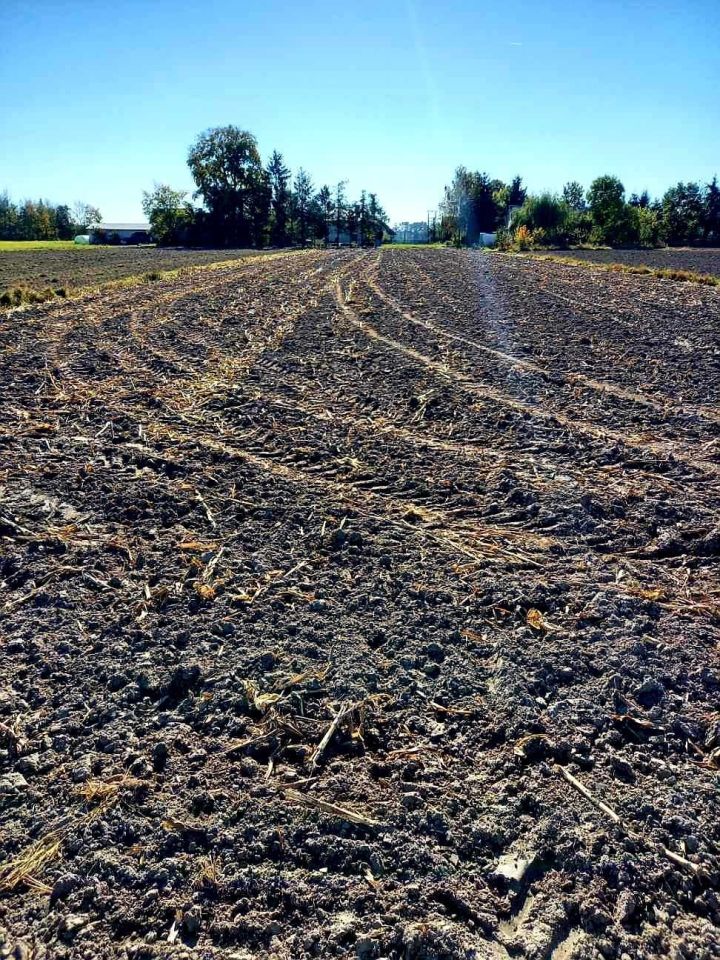 Działka budowlana Latowicz. Zdjęcie 6