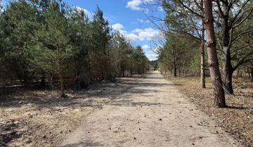 Działka budowlana Aleksandrów, Sosenkowa
