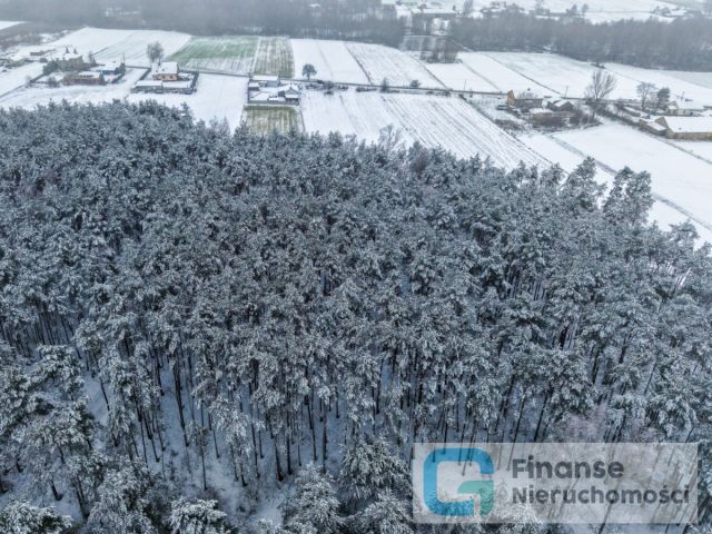 Działka budowlana Kochanów. Zdjęcie 8