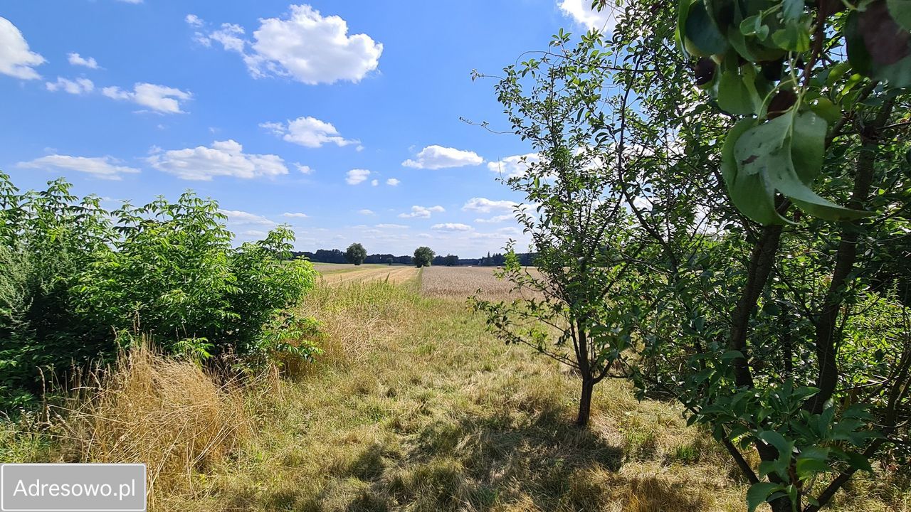 dom wolnostojący, 3 pokoje Rząśnik, ul. Jesionowa. Zdjęcie 6