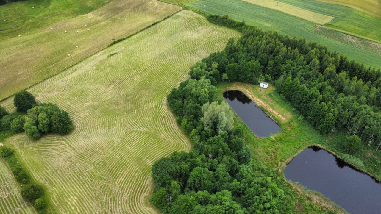 Działka rolno-budowlana Wilnowo. Zdjęcie 5