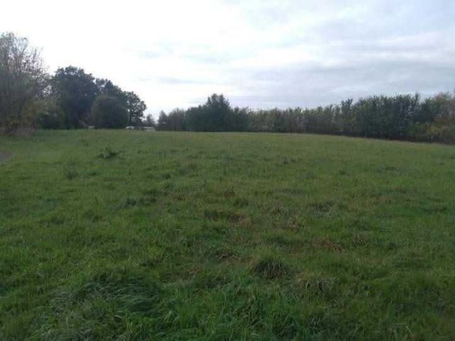 Działka budowlana Śliwin. Zdjęcie 1