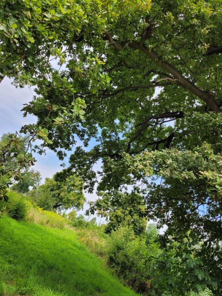 Działka rolno-budowlana Bieniów. Zdjęcie 7