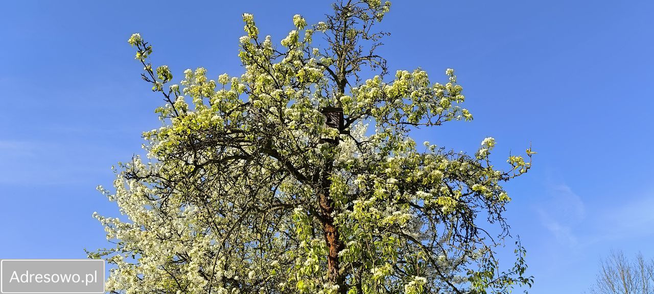 dom wolnostojący, 8 pokoi Skawina. Zdjęcie 17