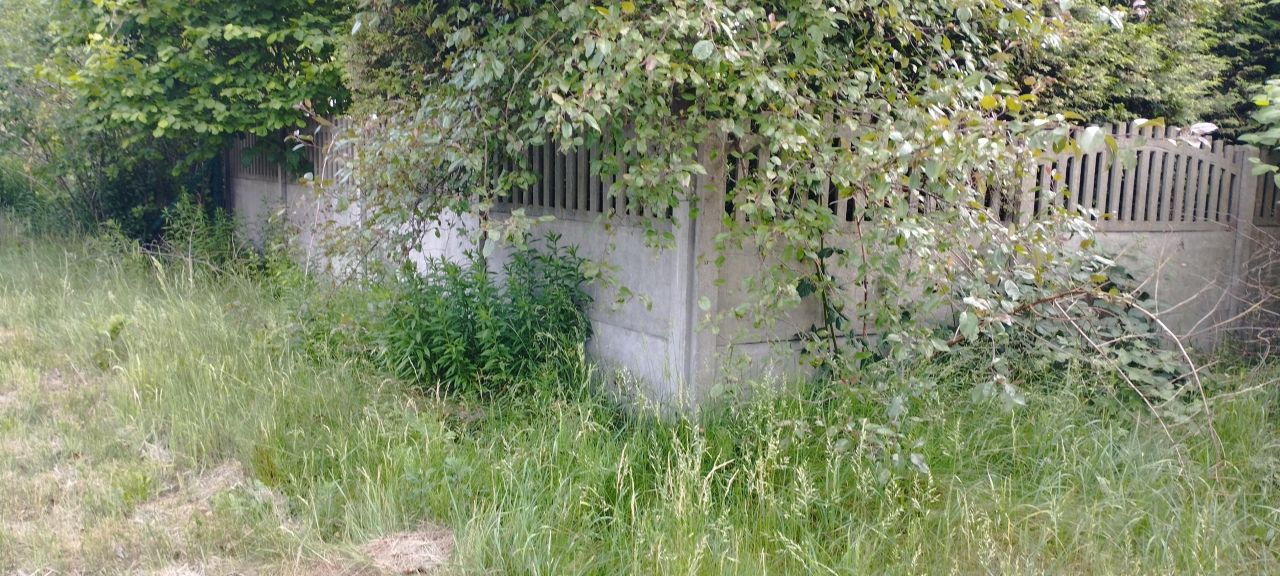 Działka budowlana Budy Trzcińskie. Zdjęcie 7