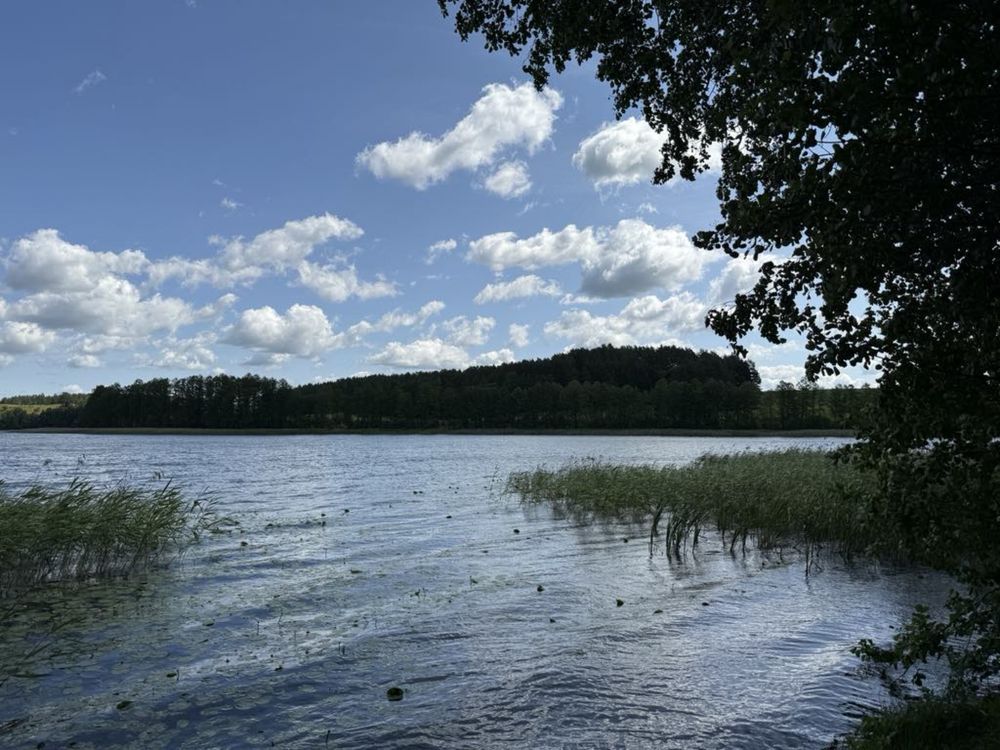 Działka rolno-budowlana Wierzbowo. Zdjęcie 6